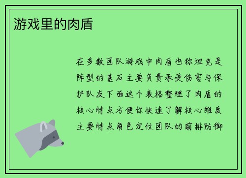 游戏里的肉盾
