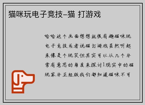 猫咪玩电子竞技-猫 打游戏